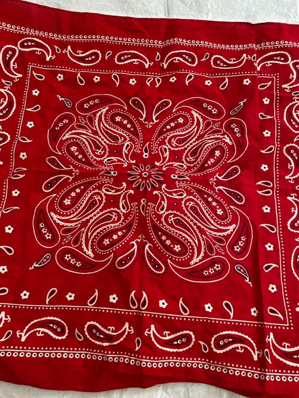 Red Paisley Bandana Scarf